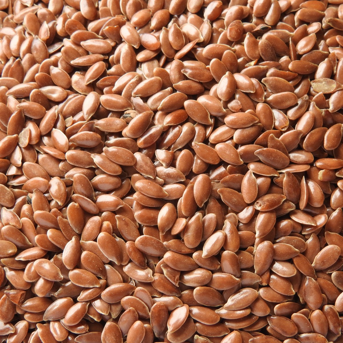 Flax Seed
