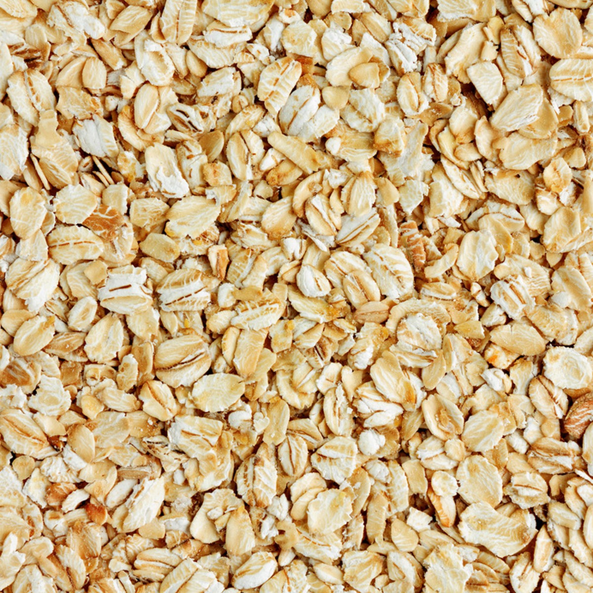 Gandum - Oat