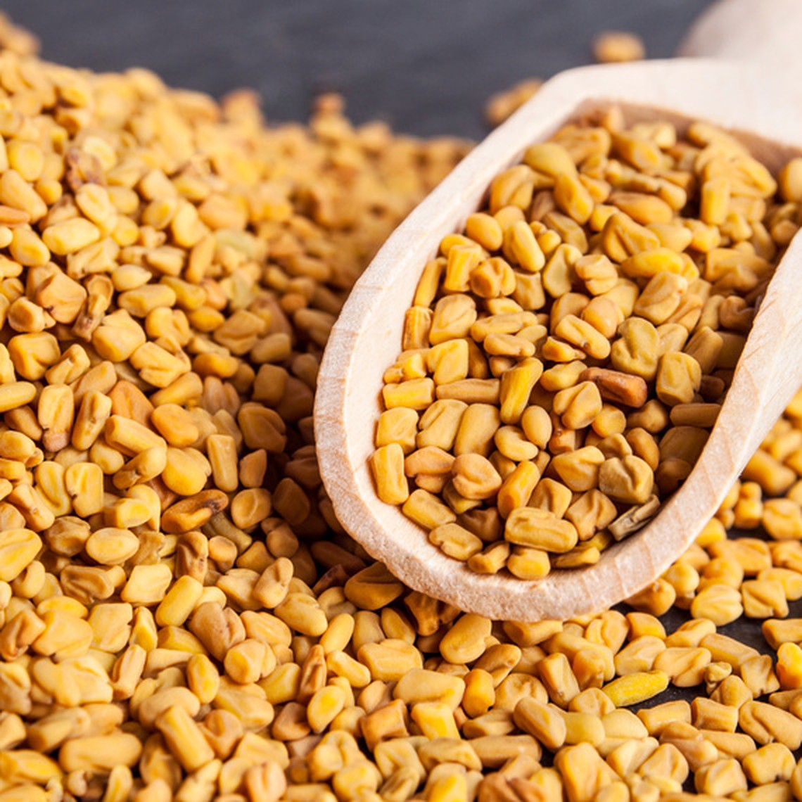 Kelabat / Fenugreek